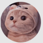 猫猫云